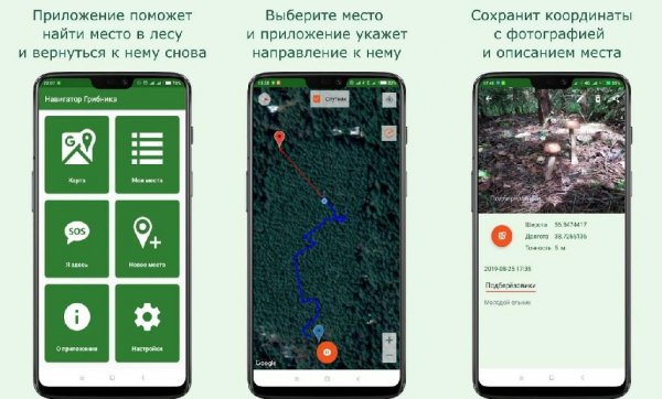 Навигатор Грибника v3. 8. 5