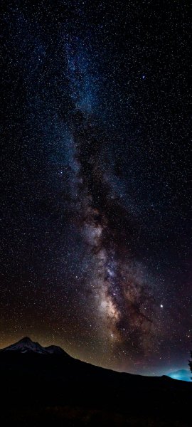 file_95019680