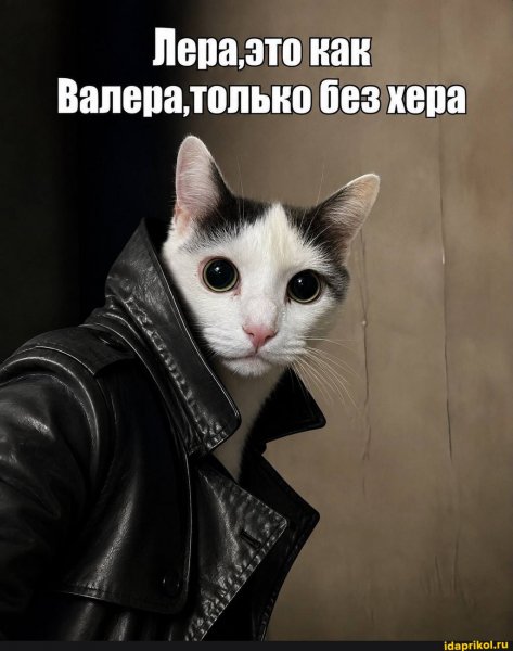 E54ccded32cc6aee5c3e1f7d8ad3302668208092b031 1