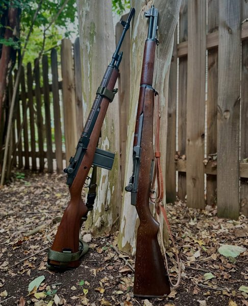 GARAND M1 и SPRINGFIELD