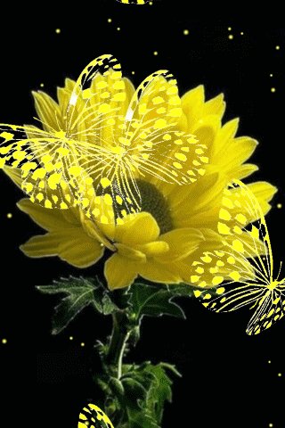 file_92549505