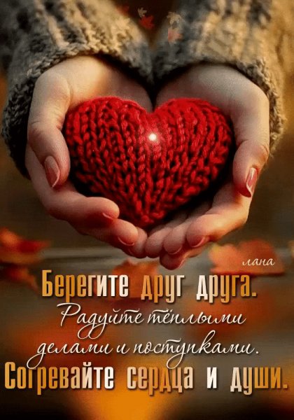 IMG 20251102 113722