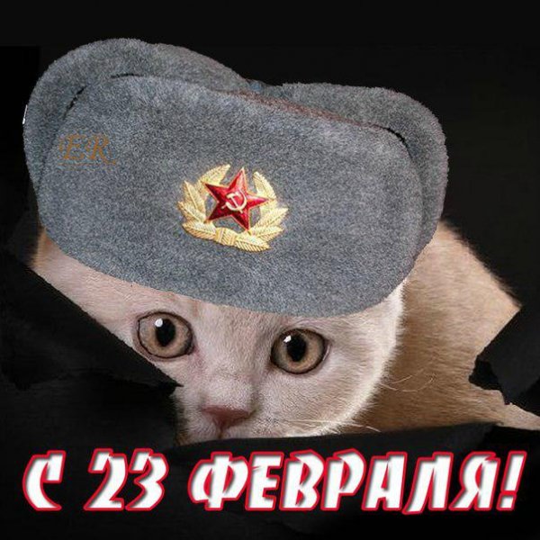 с 23 февраля