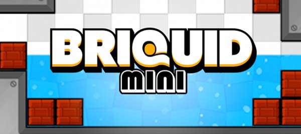 Briquid Mini