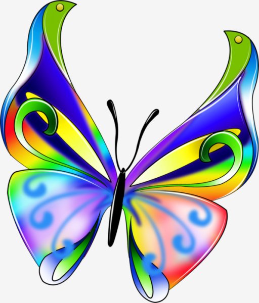 Butterfly clipart 459144
