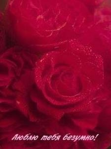 LocID1. 19p43-84anism. ru