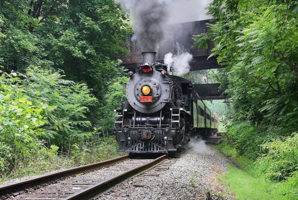 SY 142