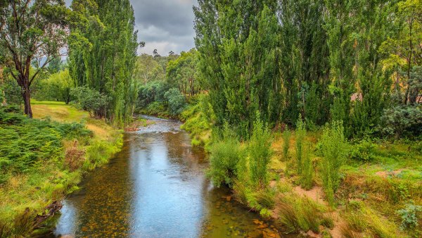 Lock2022-b40 cobungrariveraustralia gettyimages 1920x1080