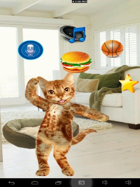 Real Talking Cat 1. 1