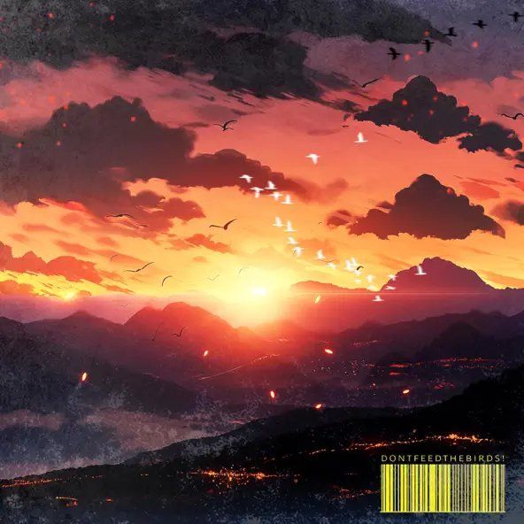 Dontfeedthebirds! - Sunrise