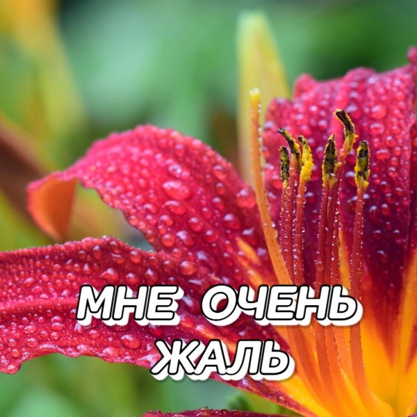 Сергей Грищук - СЕНТЯБРЬ