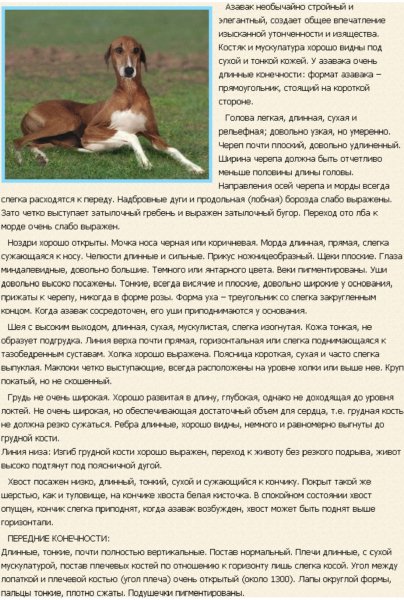 Азавак