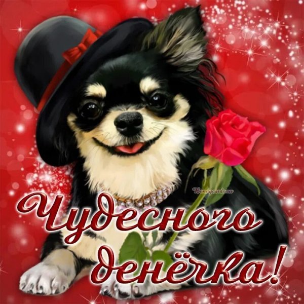 Всем вам!