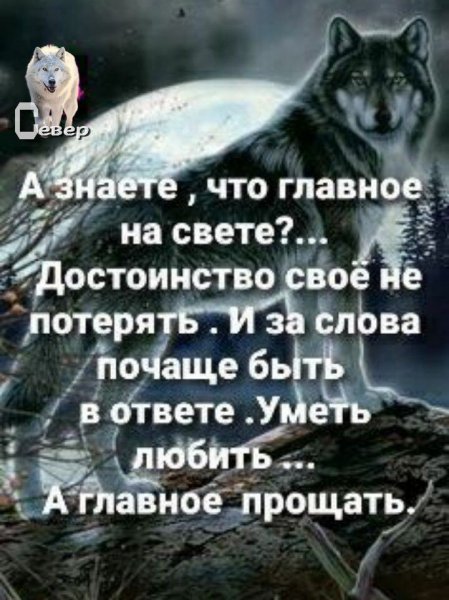 IMG 20250121 211149