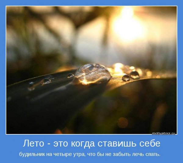 motivatory-pro-leto-30