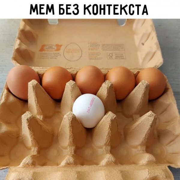 IMG 20260903 155937 230