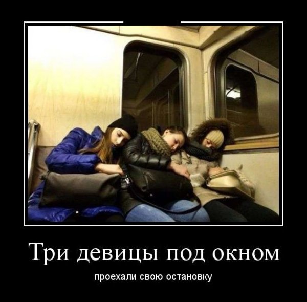 picture_420897203