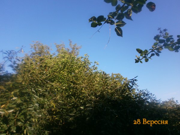 28 Вересня