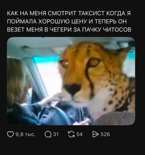 IMG 20260929 135057 997