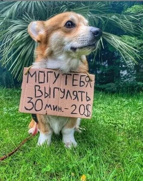Оба - на!!!