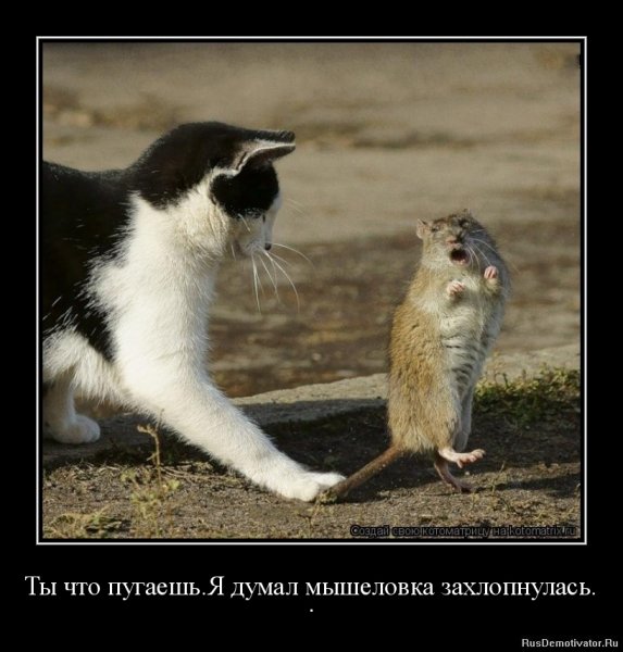 Оба - на!!!