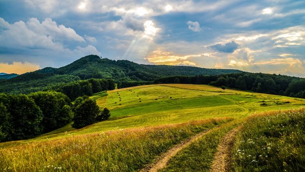 Nature