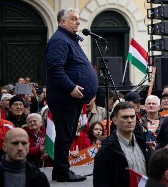 Проголосуй за одного,второй в подарок