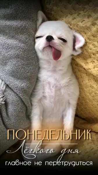 Понедельник