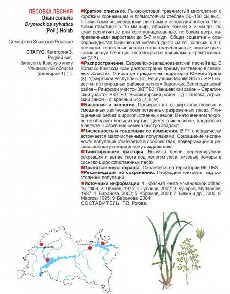 Лесовка лесная