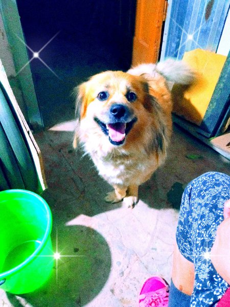IMG 20210823 054445