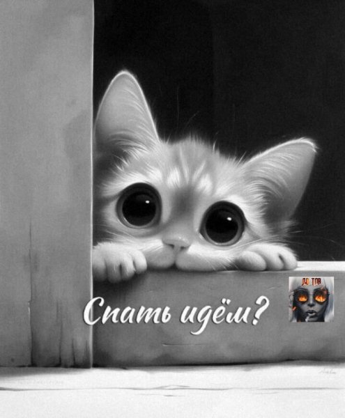 IMG 20250811 232232
