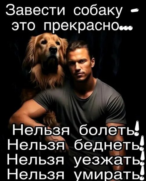 Так и есть!