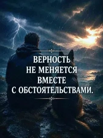 KqhVpePz6lfX0ESE8G8uwdAmf5SEtyyRFqDIYWApjcLPvHm5 4 8SVcSHtTU