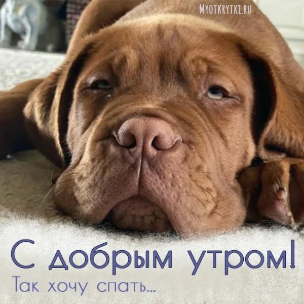 Да! ))