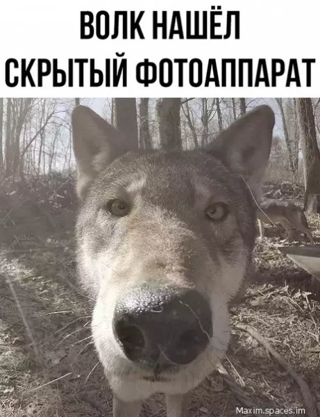 FbswRyNvV8