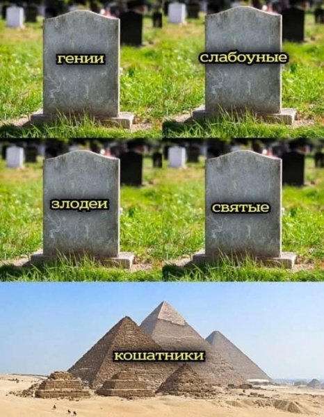 b08b1836d03303ca37c8cede