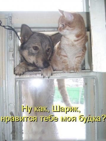 А???