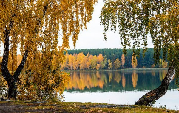 осенняя красота