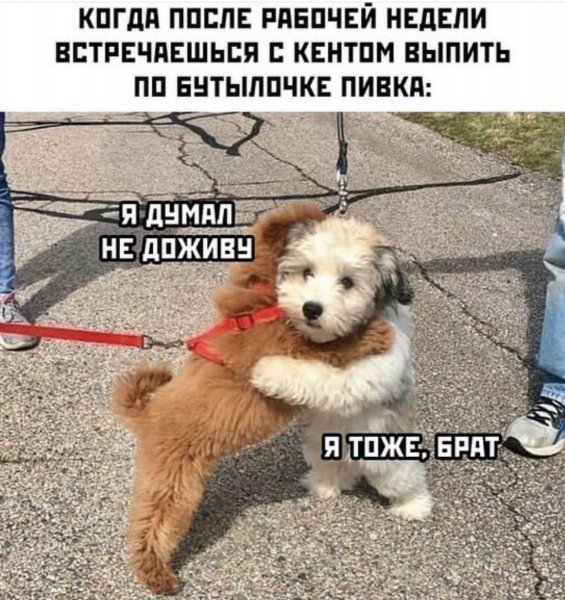 IMG 20261006 084922 042