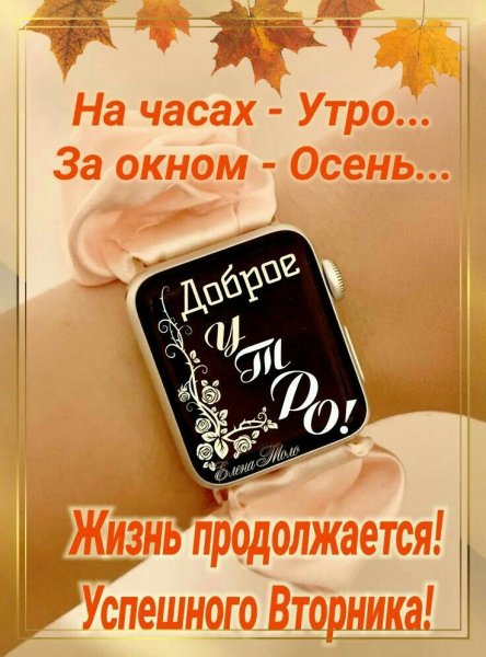 Друзья мои!