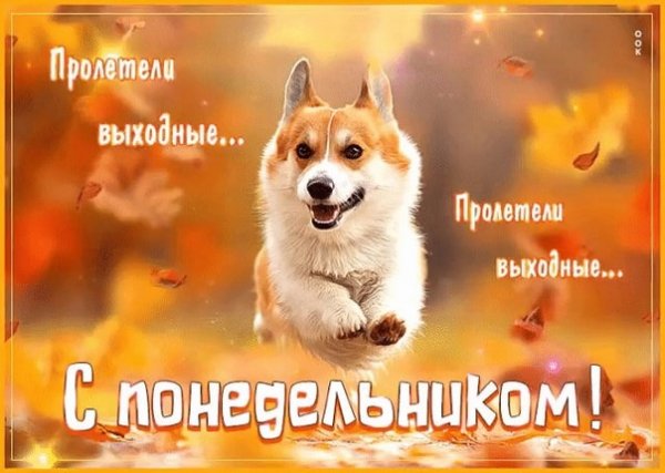 С понедельником!