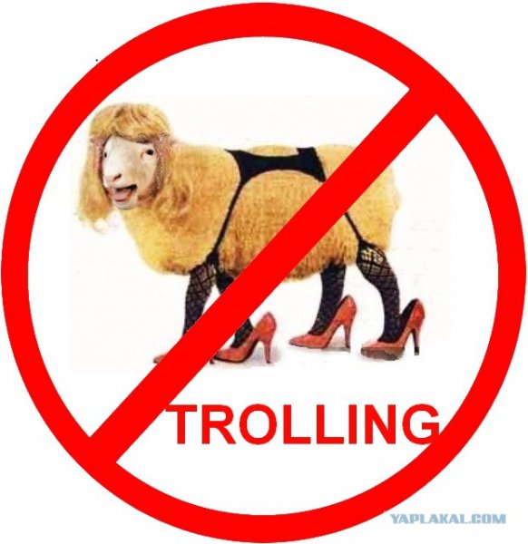 STOP TROLLING