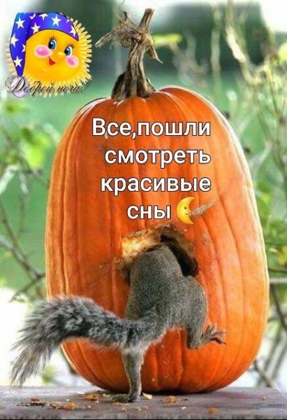 Bb032796102f01c8a4707a0995828aae