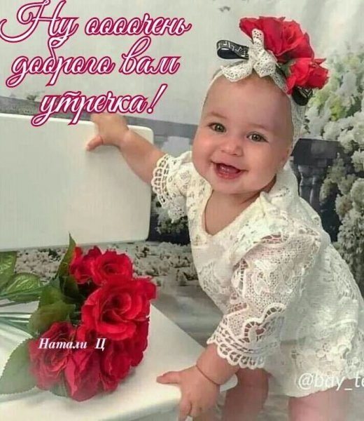 IMG 20260926 084502 506