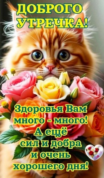 IMG 20260908 101753 143