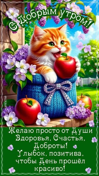 IMG 20260823 083259 453