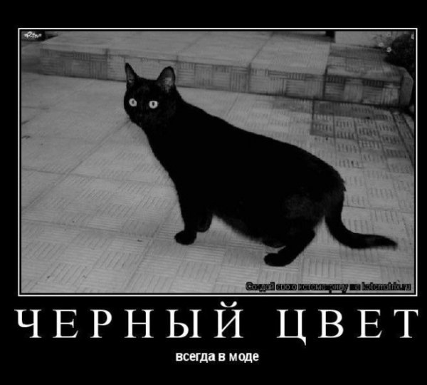 Да!!!