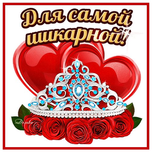 IMG 20240326 195555