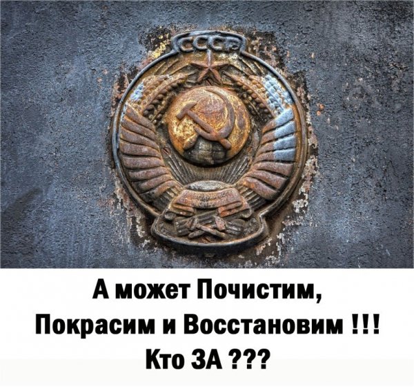 IMG 20240803 033311