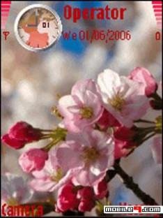 flower 432ko9y1